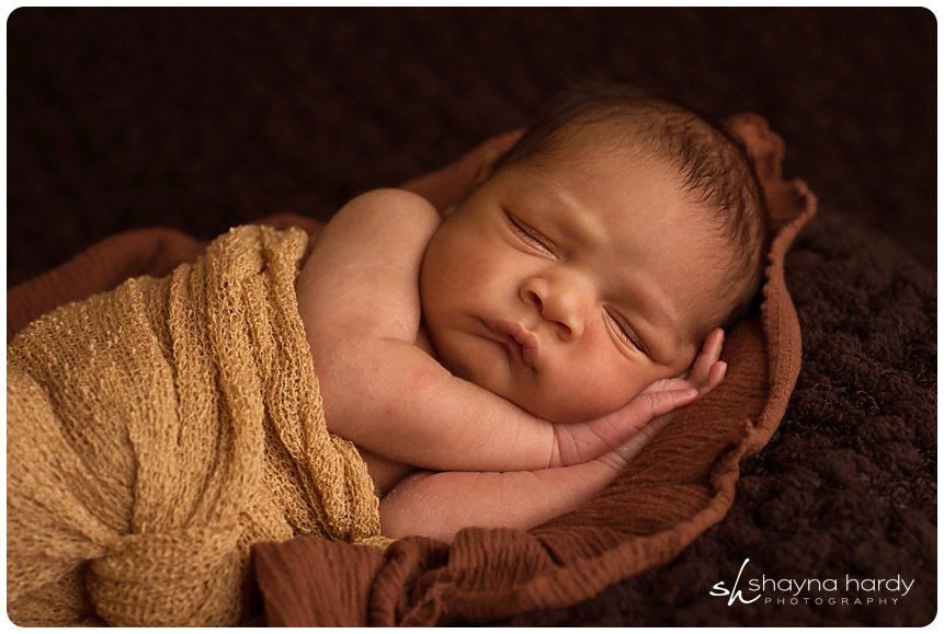 Towson Maryland Newborn Photographer